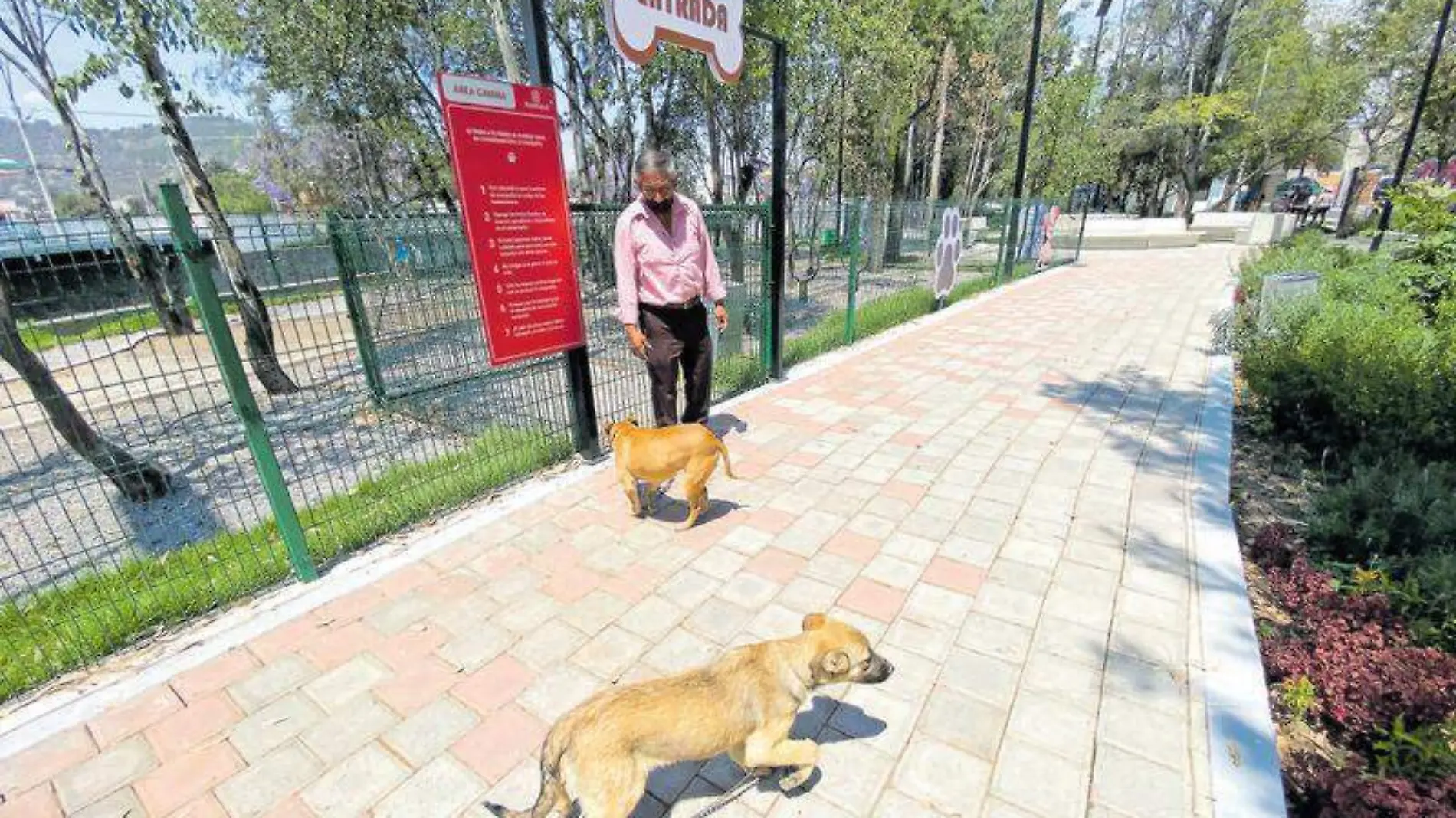 Parque para perros